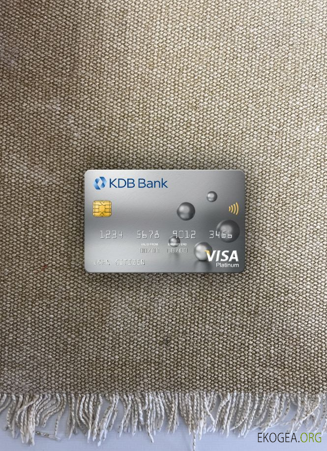 Corée du Sud KDB banque visa platine carte photolook avant